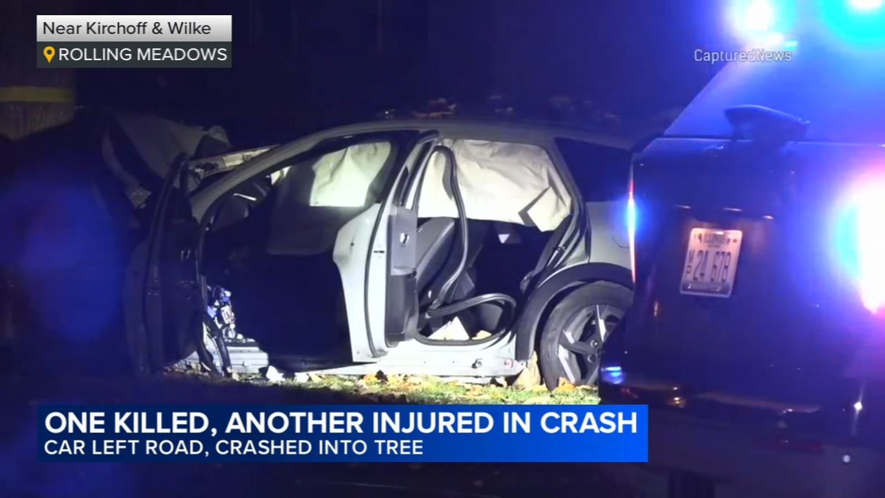 Driver killed, 1 other hurt after crashing into tree, Rolling Meadows police say
       — ABC7 Chicago (WLS-TV)