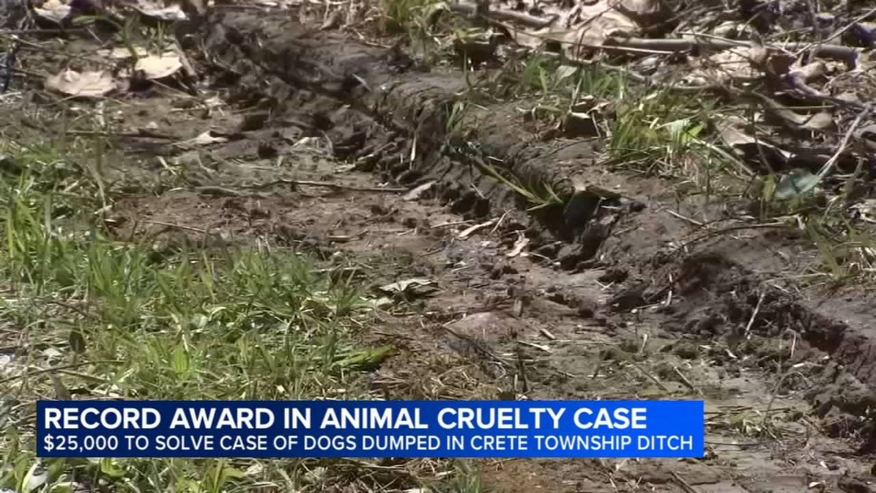 $25K reward now offered for information after 6 dead dogs found dumped in Crete Township
— ABC7 Chicago (WLS-TV)